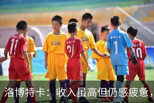 洛博特卡：收入虽高但仍感疲惫，赛程密集令人窒息